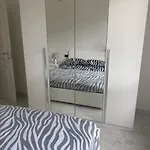 Gioia