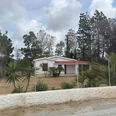 Gioia